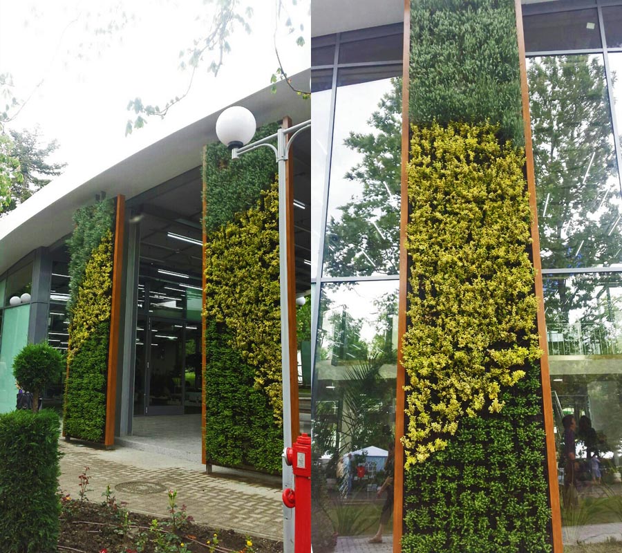 Flora-Burgas-Green-Walls-2015-BGreenpark