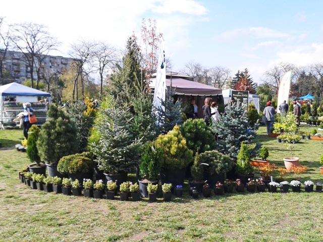 Green-Fest-and-Green-City-2015