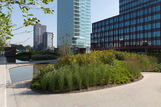 04 Mandela Park by Karres en Brands