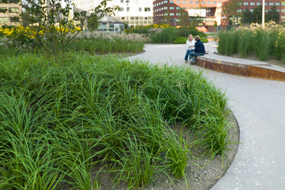05 Mandela Park by Karres en Brands